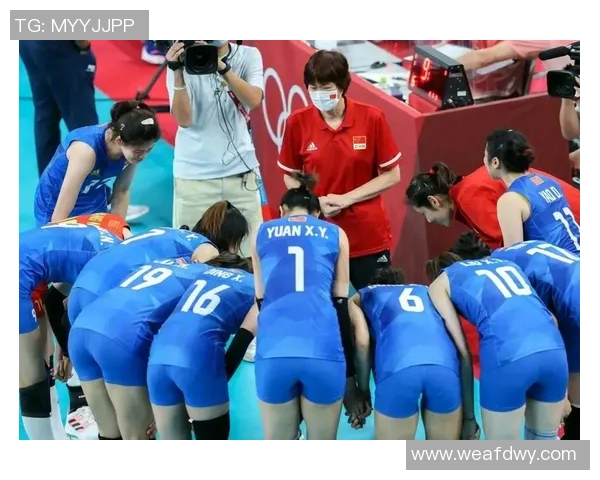 成都排球队实力强劲荣登全国排球实力排行榜第六名