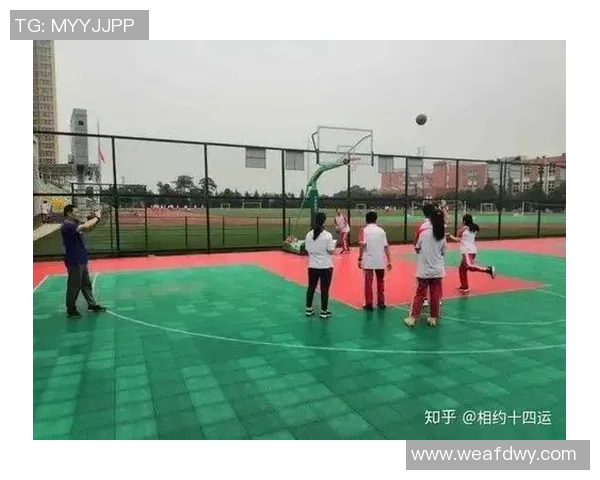 权威发布：2023年排球各队状态与实力综合排名分析报告